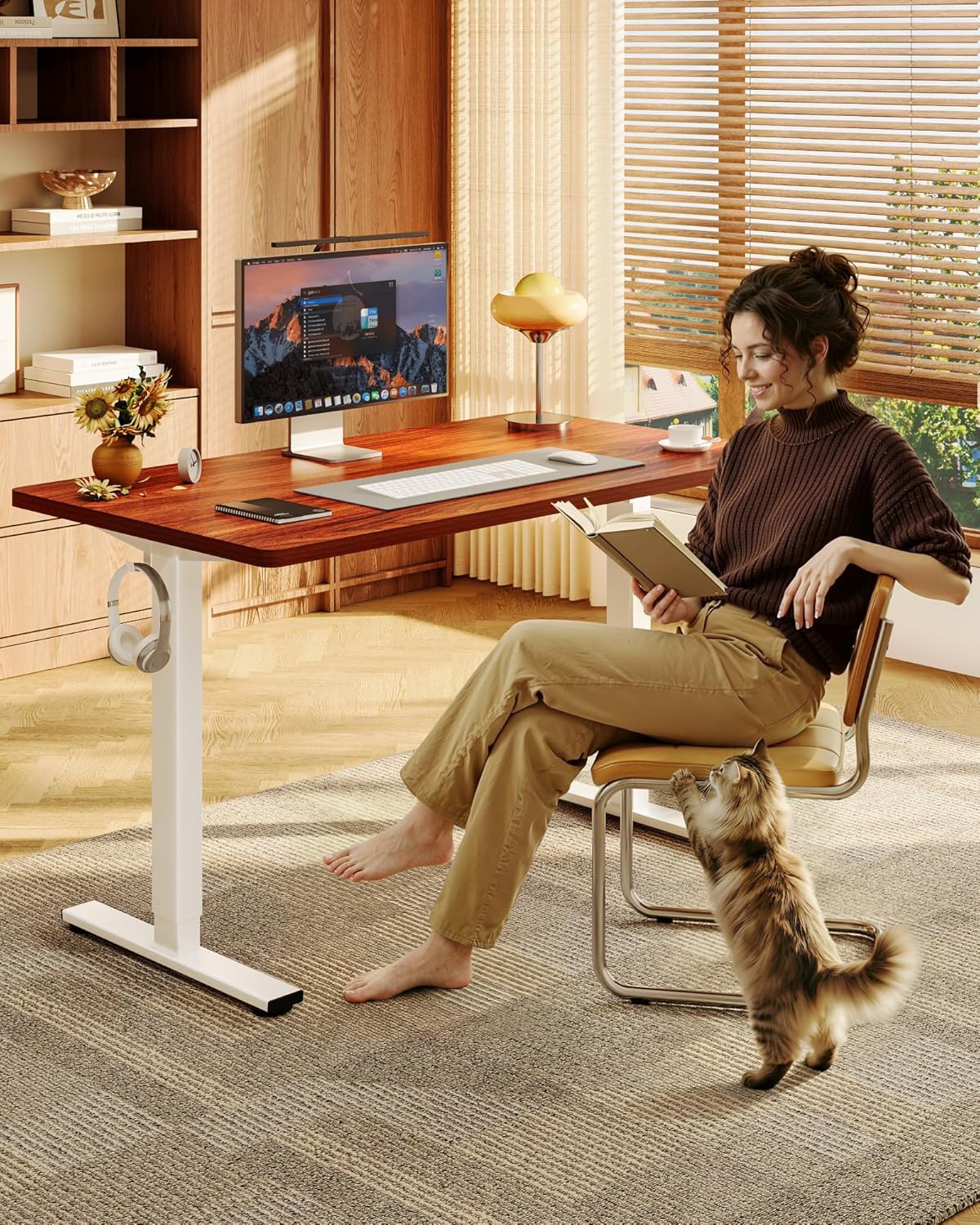 Electric Height-Adjustable Sta - огляд і ціна Desk Setup One Monitor